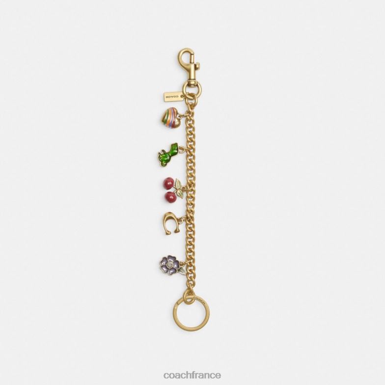 Coach femmes bijou de sac à chaîne à motif b4/multi HHR6J525