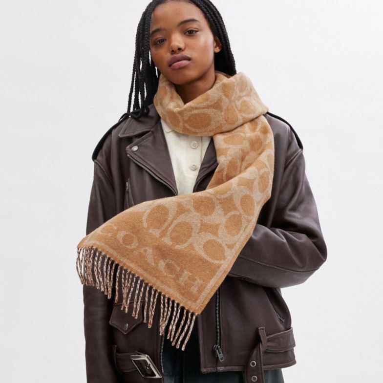 Coach femmes cache-nez réversible en cachemire signature chameau HHR6J553