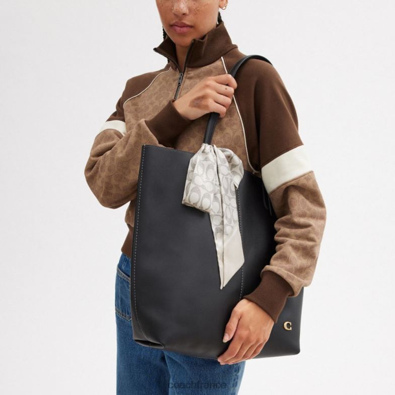Coach femmes écharpe skinny en soie à imprimé signature vintage vapeur HHR6J590