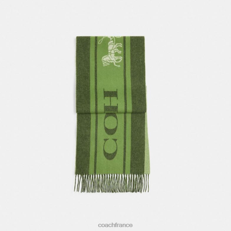 Coach femmes silencieux en cachemire de sport universitaire vert amazonien HHR6J583