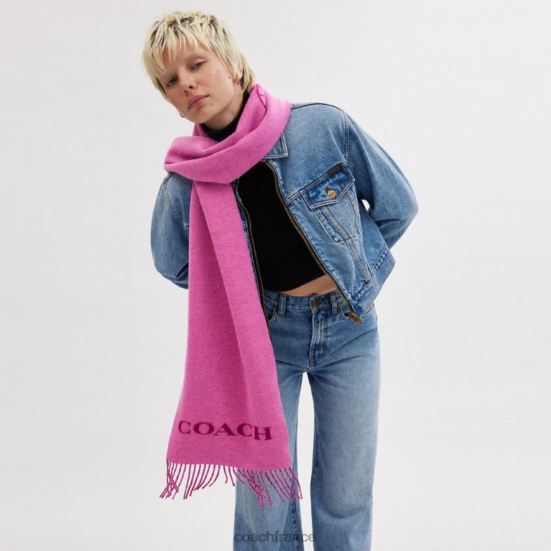 Coach femmes silencieux en cachemire pour chevaux et calèches prune profonde HHR6J575