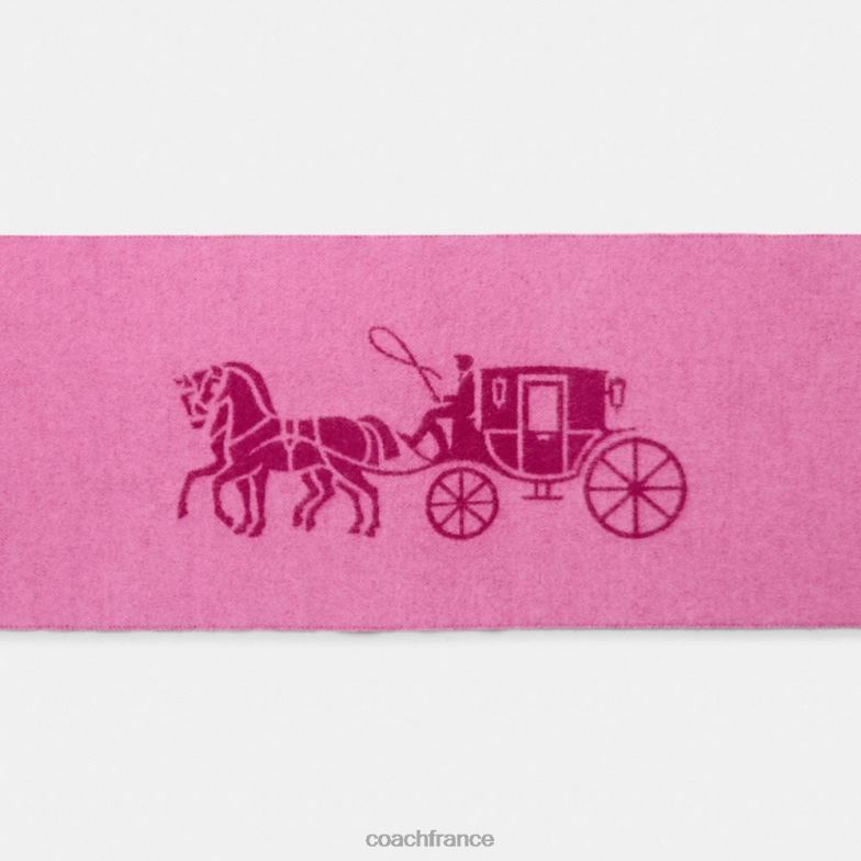 Coach femmes silencieux en cachemire pour chevaux et calèches prune profonde HHR6J575