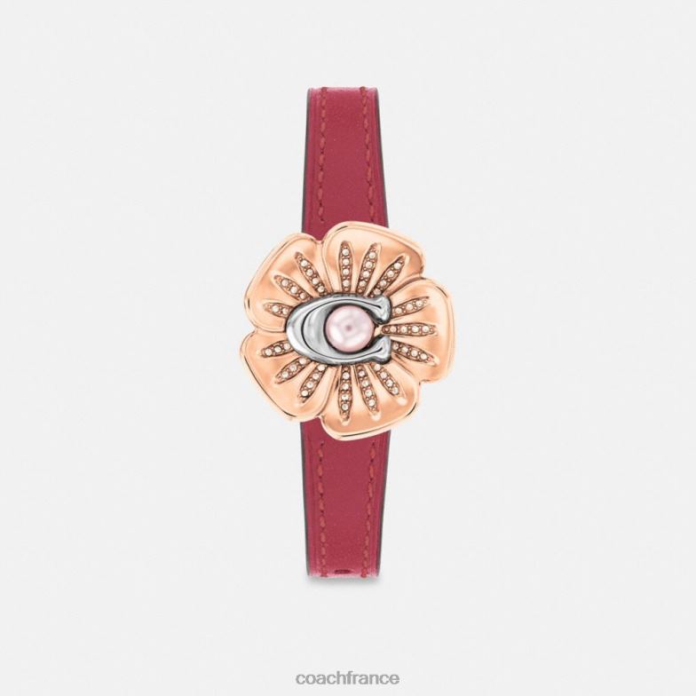 Coach femmes montre rose thé, 28 mm rouge HHR6J543