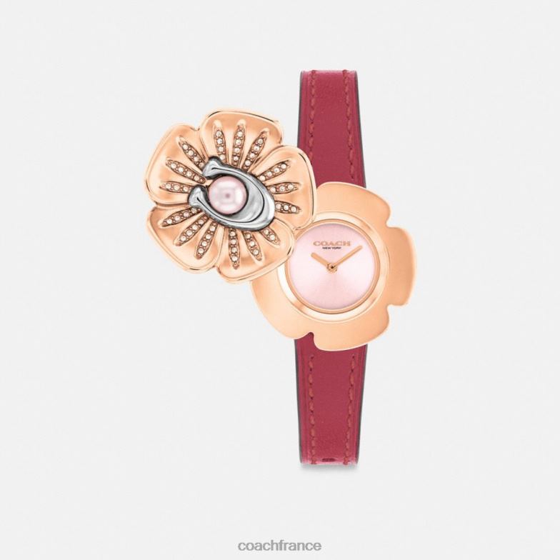 Coach femmes montre rose thé, 28 mm rouge HHR6J543