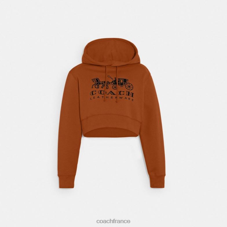 Coach femmes sweat à capuche court cheval et calèche en coton biologique brun HHR6J480
