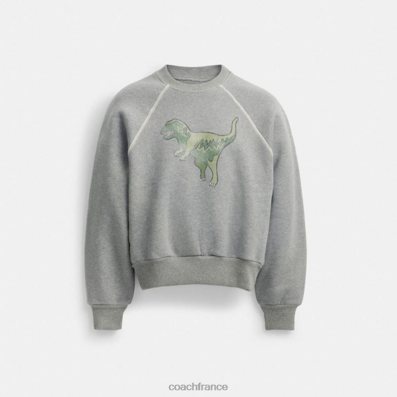 Coach femmes sweat à col rond rexy gris HHR6J483