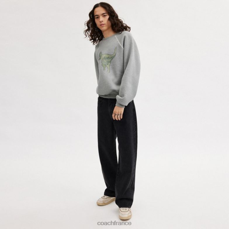 Coach femmes sweat à col rond rexy gris HHR6J483