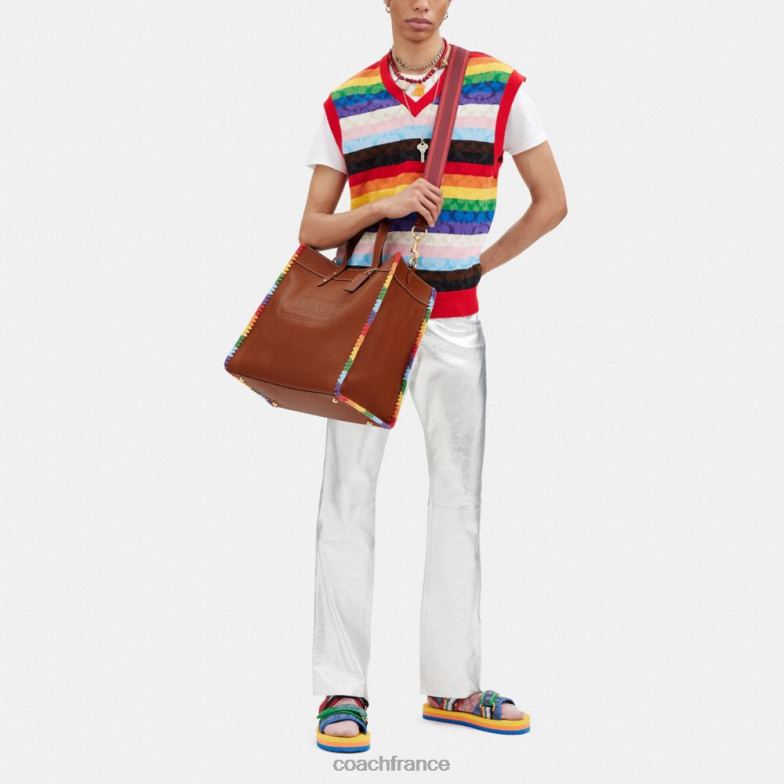Coach Hommes fourre-tout field 40 avec crochet arc-en-ciel ambre bruni multicolore HHR6J642